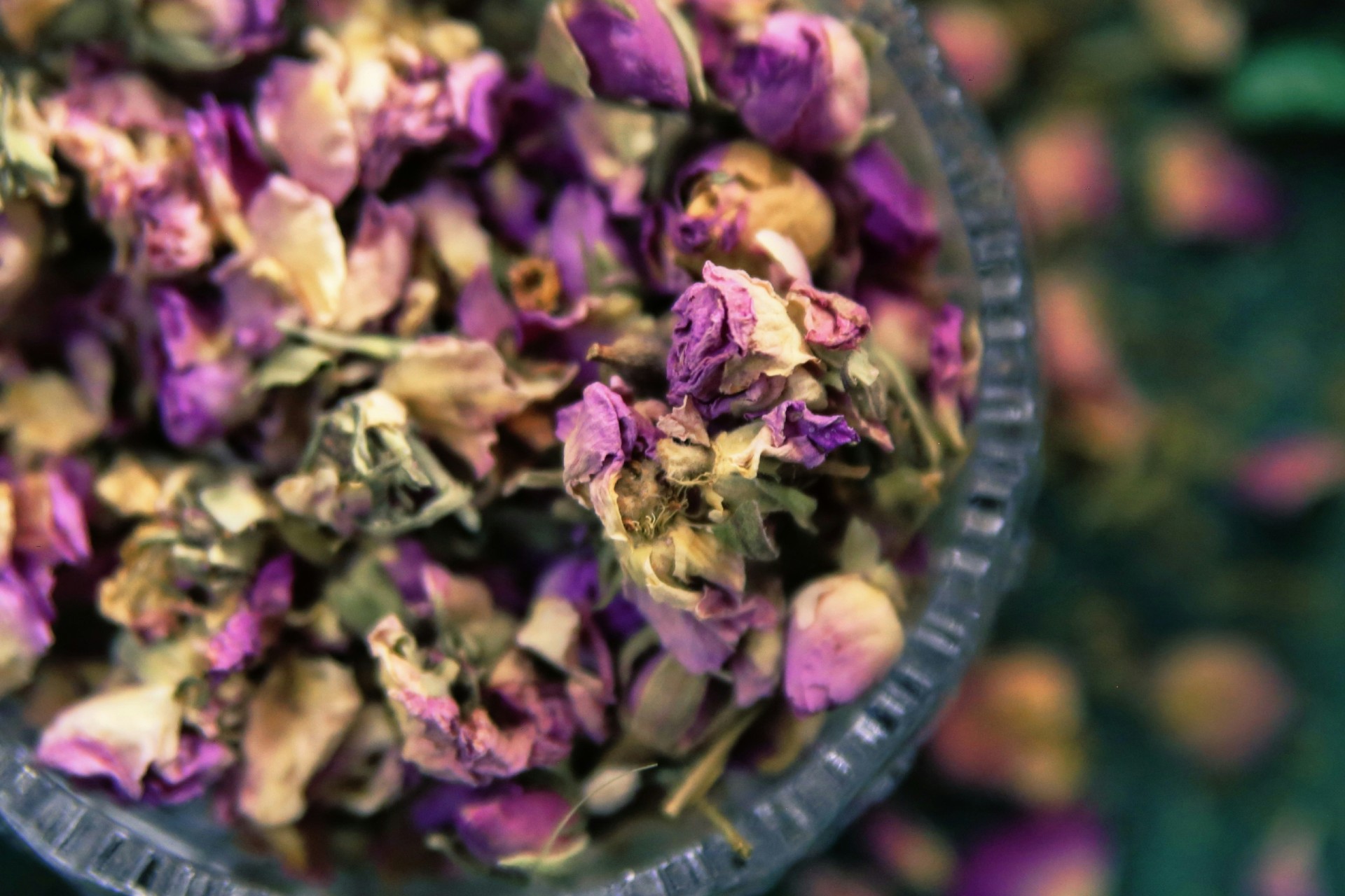 purpledried